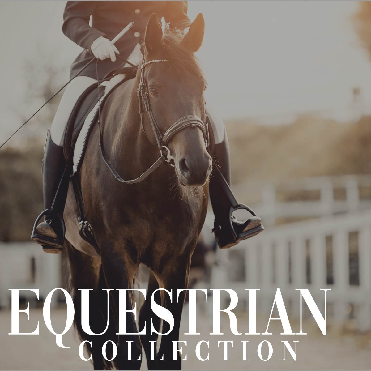 Equestrian Collection