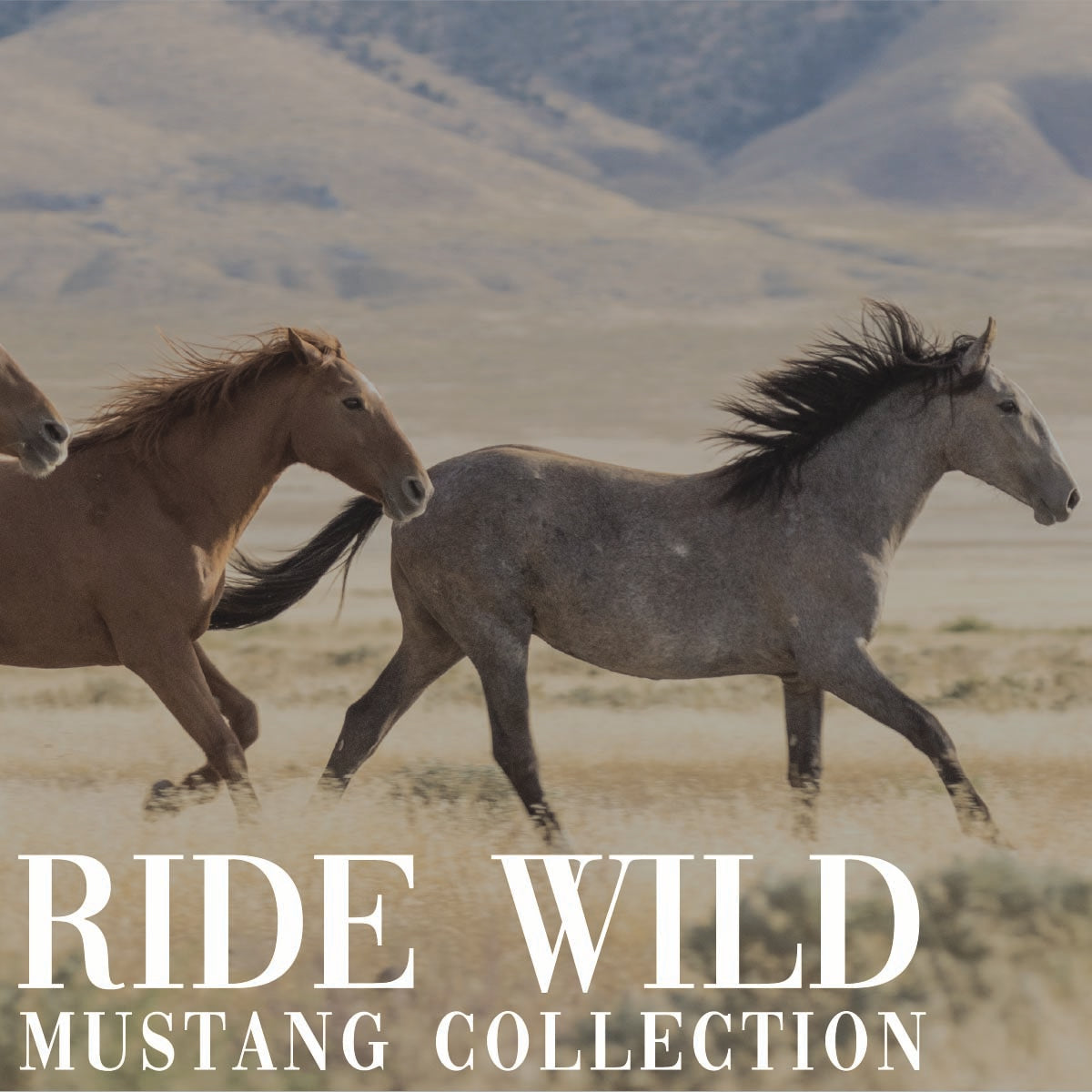 Ride Wild | Mustang Merch