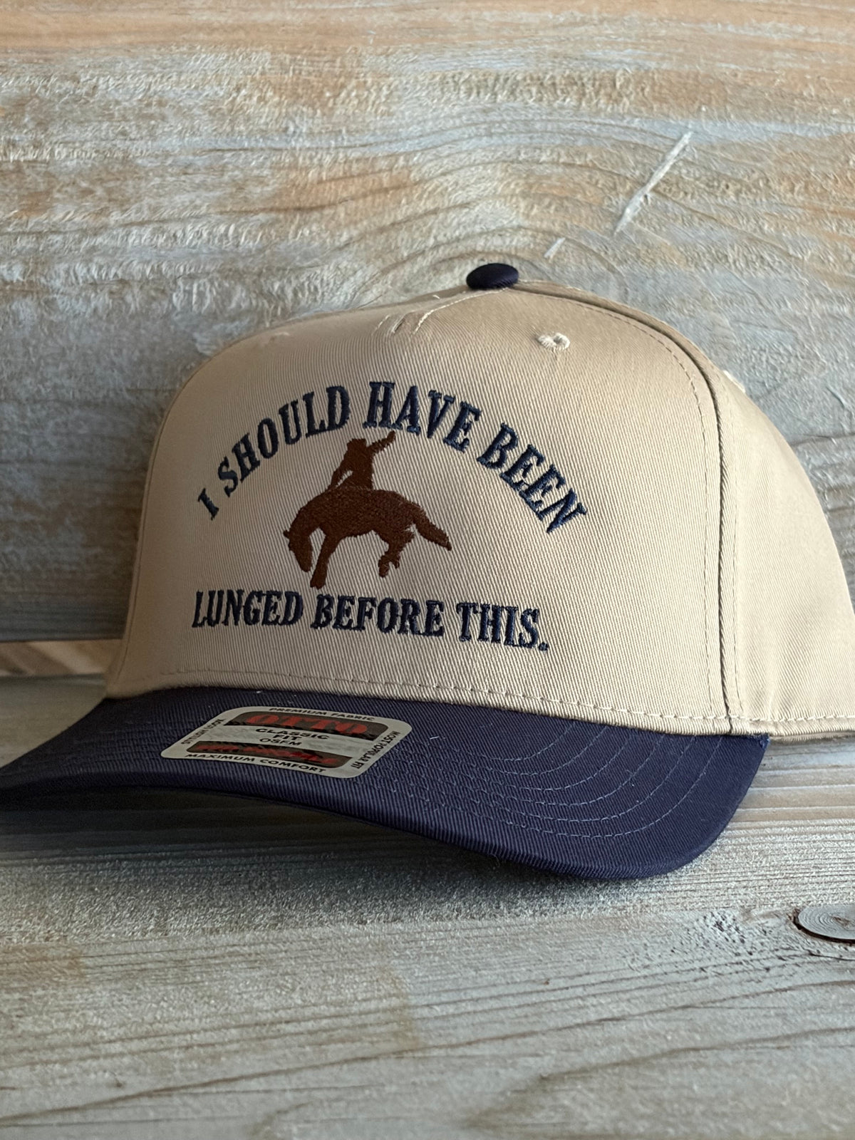 I Should Have Been Lunged | Embroidered Canvas Hat