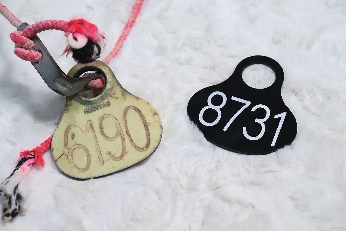 Custom Replica BLM Mustang Neck Tags | Wild Horse Tag